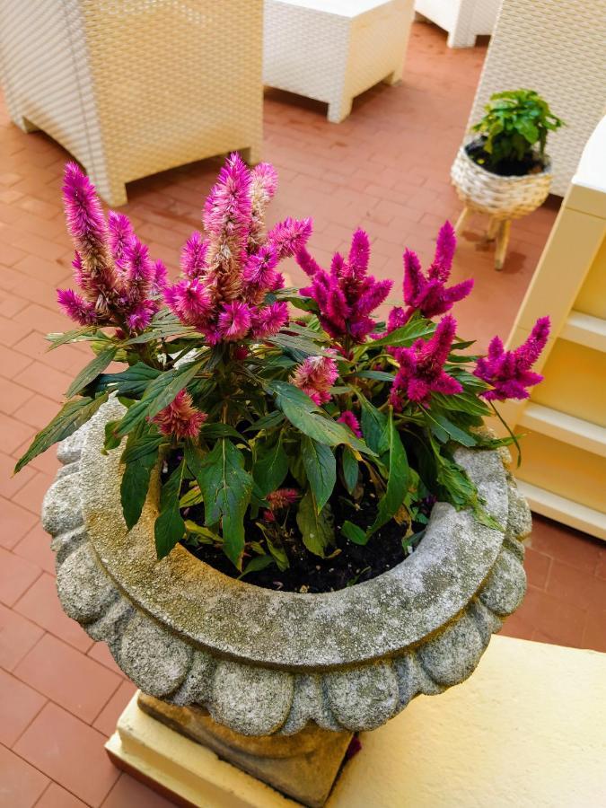 Apartamento Ca'Tronconi Ai Frari Venecia Exterior foto